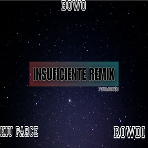 Insuficiente (Remix)