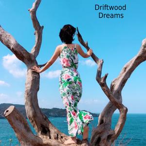Driftwood Dreams
