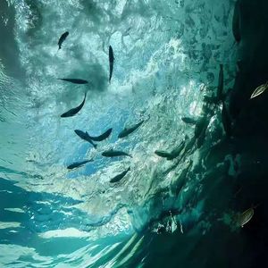 Trapped by love（Prod EVOMUSIC）