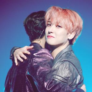 マリーゴールド（金盏花）