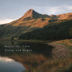 心を癒す優しいアンビエント δ波 ソルフェジオ周波数が快眠へ導く