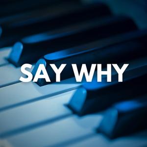 Say Why