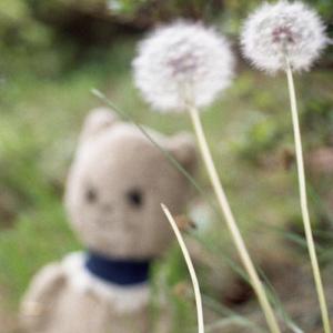 はいけい、ぼくより