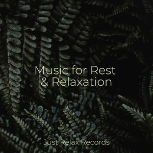 Splendorous Overture