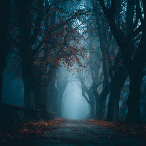 გაშიშვლებული ტოტი