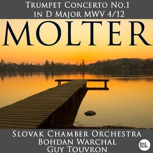 Trumpet Concerto No.1 in D Major, MWV 4/12: II. Adagio