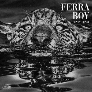 FERRA BOY Vol.1