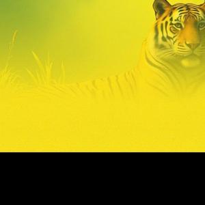 범띠의 재물복(사주 배우기 노래)