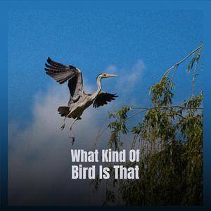 Take A Look At This Broken Heart Of Mine