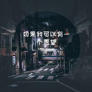 如果我可以有一个愿望