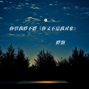 你管我胖不胖 (你又不是我对象)