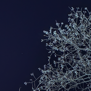 四季予你（超短版