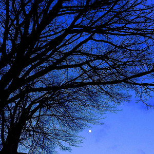 夏の夜空を見上げて