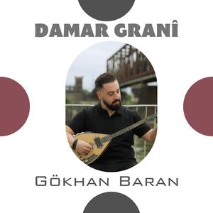 Damar Grani 2026 Gökhan Baran