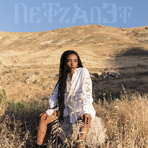 כוחי הולך ודל