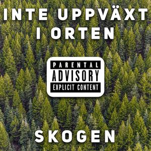 Inte uppväxt i orten