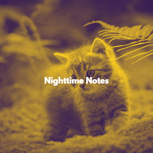 Bright Music for Moody Kittens