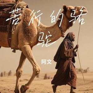苦行的骆驼 (Cover 刘白)