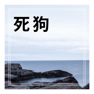 死狗（女生空拍）