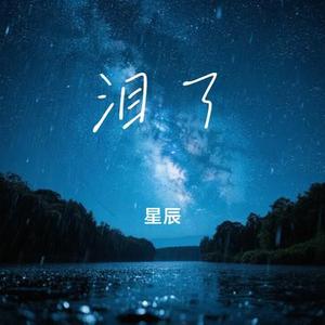 泪了 (星辰 Remix)
