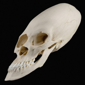 Learn to Swim, Pt. 1 (Krust Intuitive Assignment Remix)