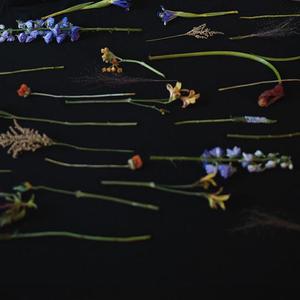 星辰下（10年纪念版）