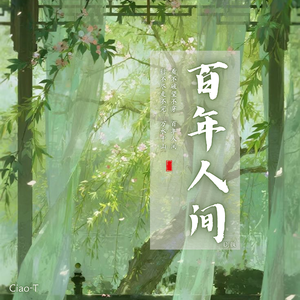 百年人间（DJ版）