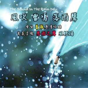 Sound Of The Wind 風之樂章 (雨中風聲徐徐收錄各式各樣的風聲)