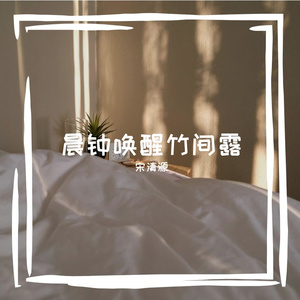 雪花吻过路灯的光晕