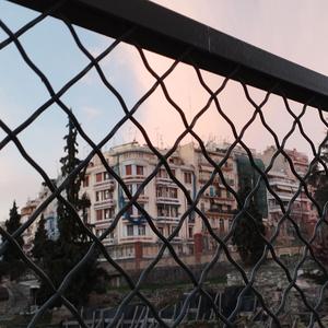 pizzaparty3/tripletheolives