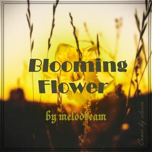Blooming Flower (Melodream)