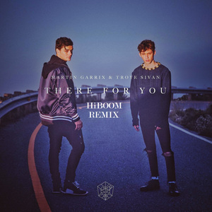 Martin Garrix / Troye Sivan - There For You (HiBOOM Remix）