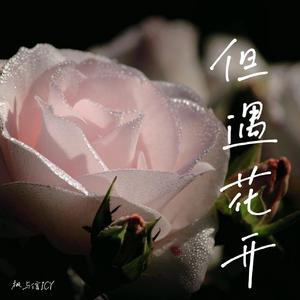 但遇花开(prod by BECU BEATZ)