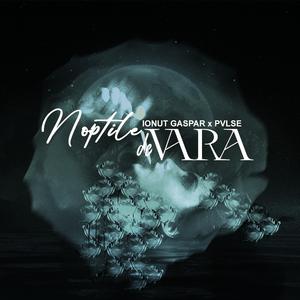 Noptile De Vara (feat. Pvlse)