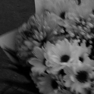 Öldürdüm Cicegimi (Keman Version)