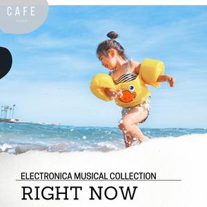 Night On Fleek (Chill Electronica Fest)