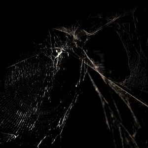 sorry，it's internet【Prod. by SoBerBoi】