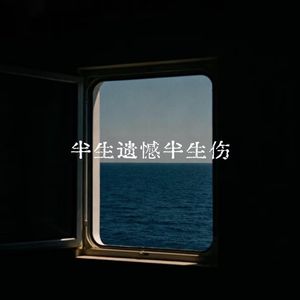 半生遗憾半生伤