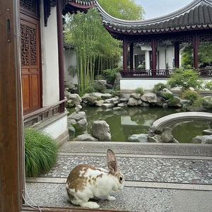 [Beat]游 中国风 trap type beat