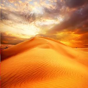 多想在平庸的生活拥抱你