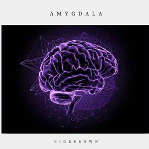 Amygdala