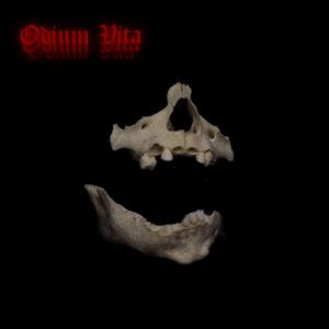 The Broken Mirrors of Insanity