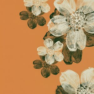 遗憾的光芒 .mp3