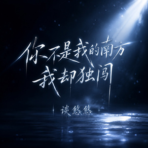 你不是我的南方我却独闯