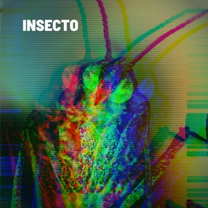 Insecto