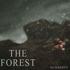 The Forest