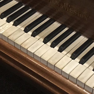 Berlin Sonata: V. —