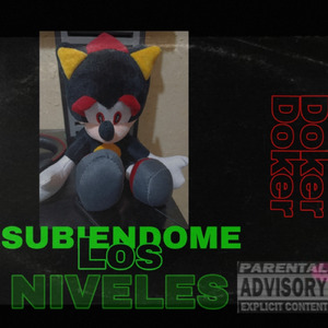 Subiendome Los Niveles