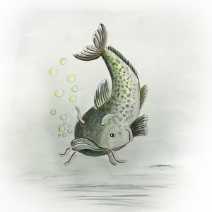 catfish