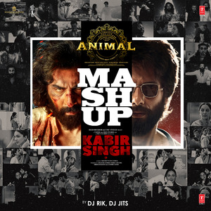 Animal X Kabir Singh Mashup